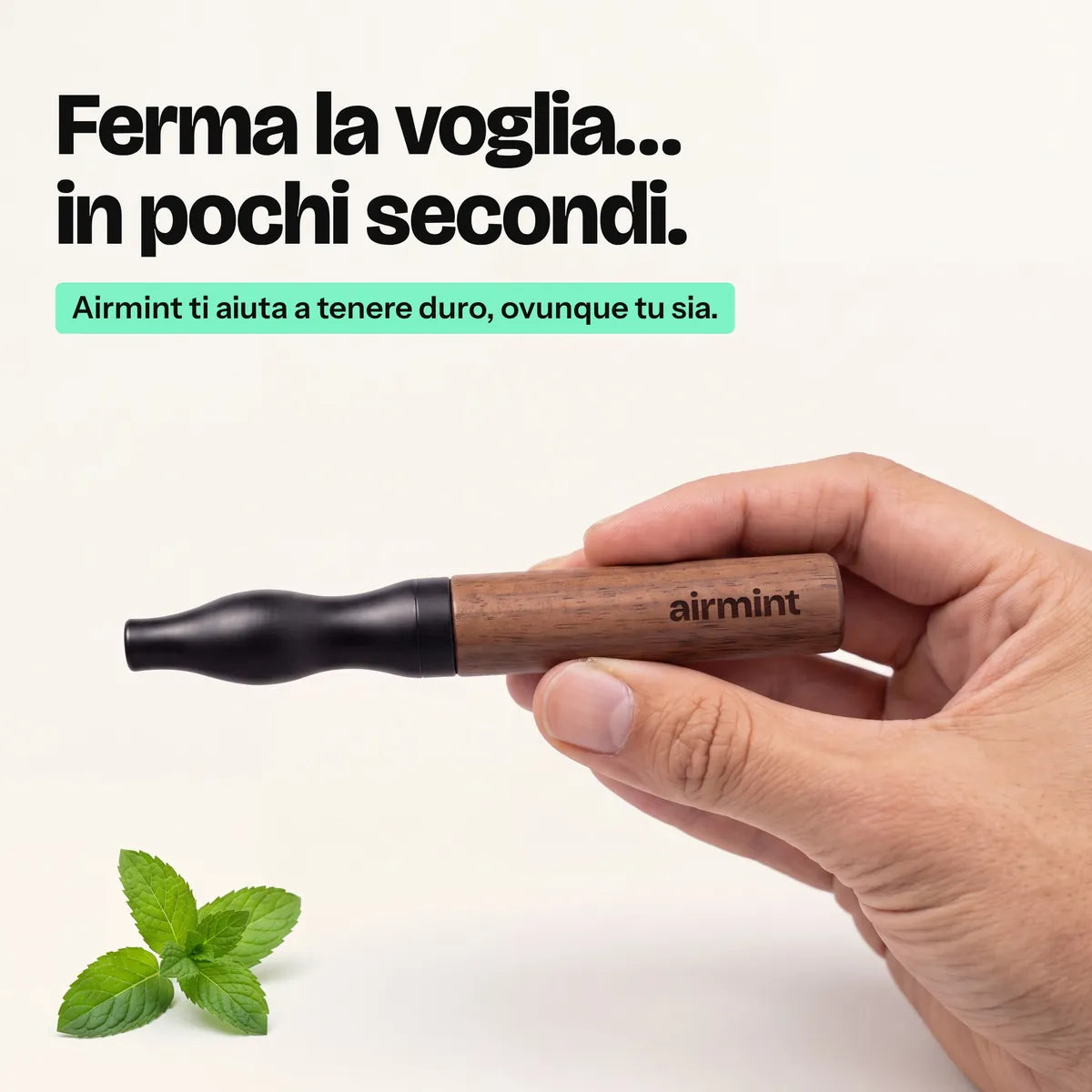 Diffusore Airmint